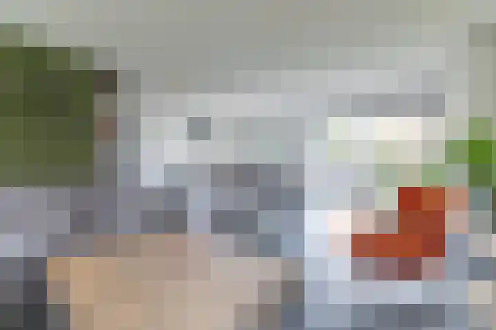 Gen. J.P. Gauthierlaan 13 Dokkum thumbnail 13
