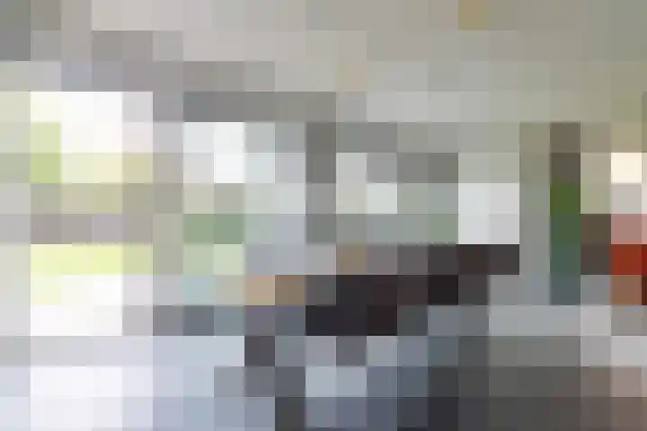 Gen. J.P. Gauthierlaan 13 Dokkum thumbnail 15