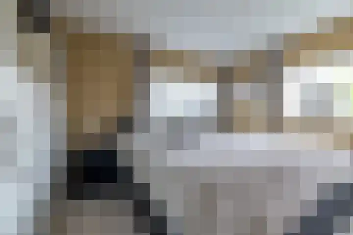 Gen. J.P. Gauthierlaan 13 Dokkum thumbnail 21