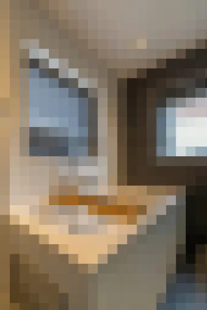 Gen. J.P. Gauthierlaan 13 Dokkum thumbnail 33