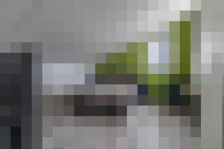 Gen. J.P. Gauthierlaan 13 Dokkum thumbnail 36
