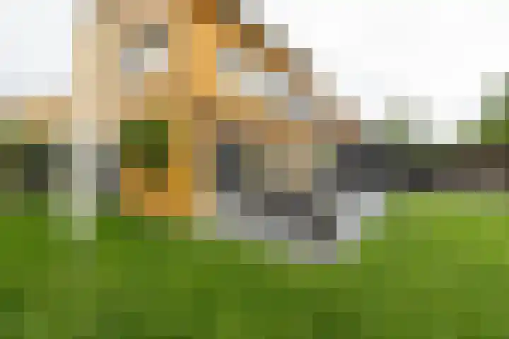 Gen. J.P. Gauthierlaan 13 Dokkum thumbnail 40
