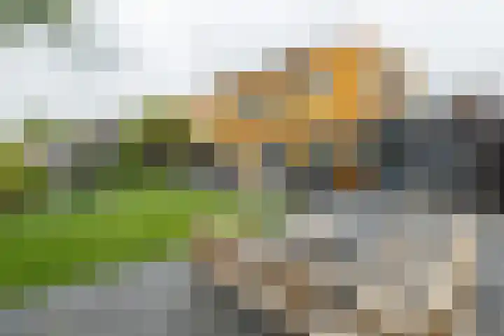 Gen. J.P. Gauthierlaan 13 Dokkum thumbnail 41