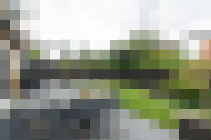 Gen. J.P. Gauthierlaan 13 Dokkum thumbnail 45