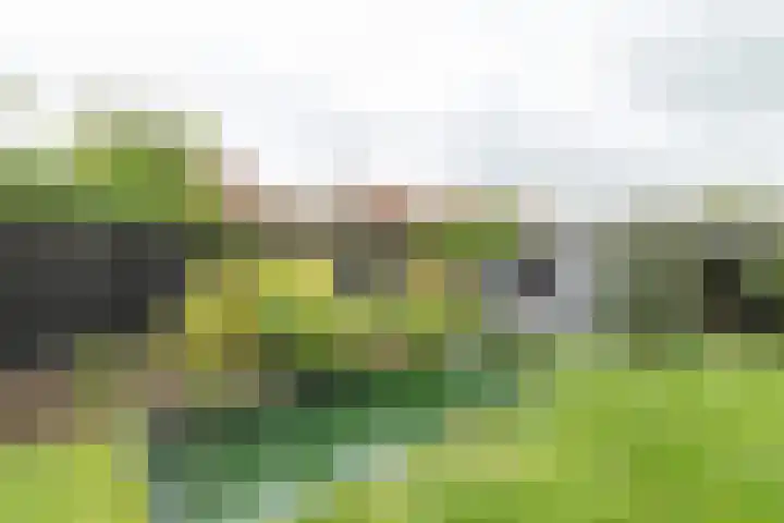 Gen. J.P. Gauthierlaan 13 Dokkum thumbnail 46