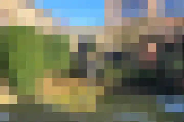 Gen. J.P. Gauthierlaan 6 Dokkum thumbnail 21