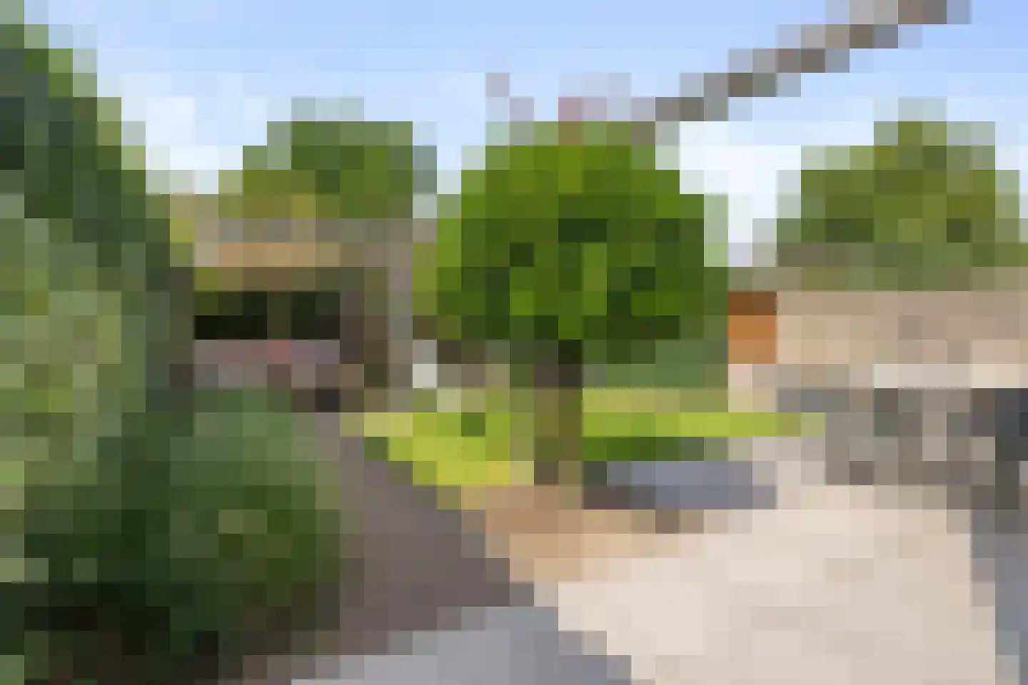 Gen. Ritchiestraat 10 Panningen thumbnail 54