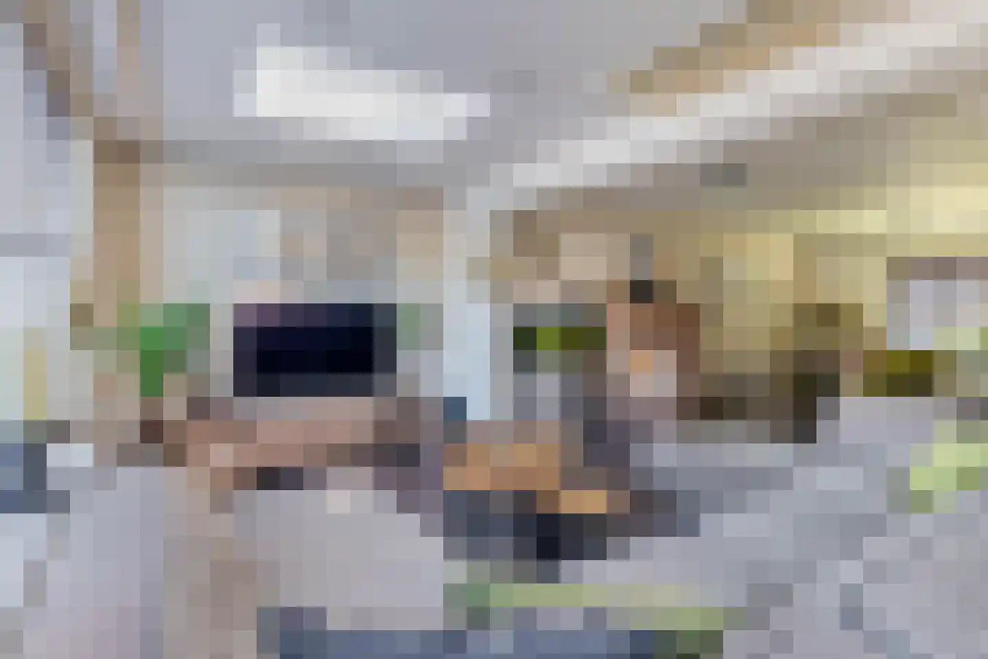 Genbroekstraat 26 Venlo thumbnail 11