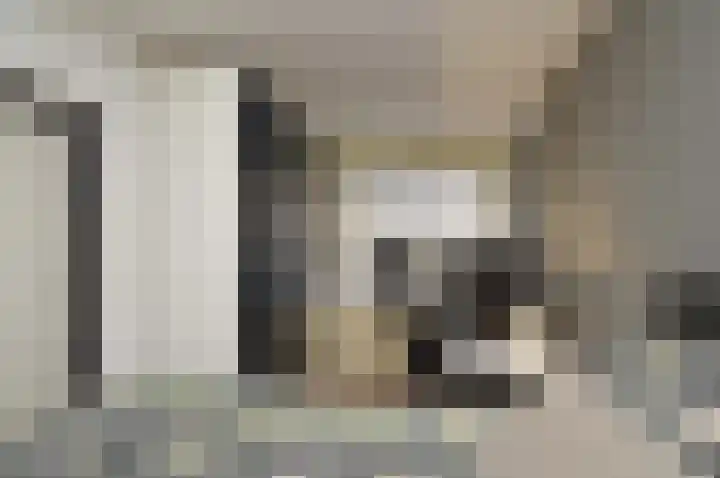 Gender 13 Deurne thumbnail 10