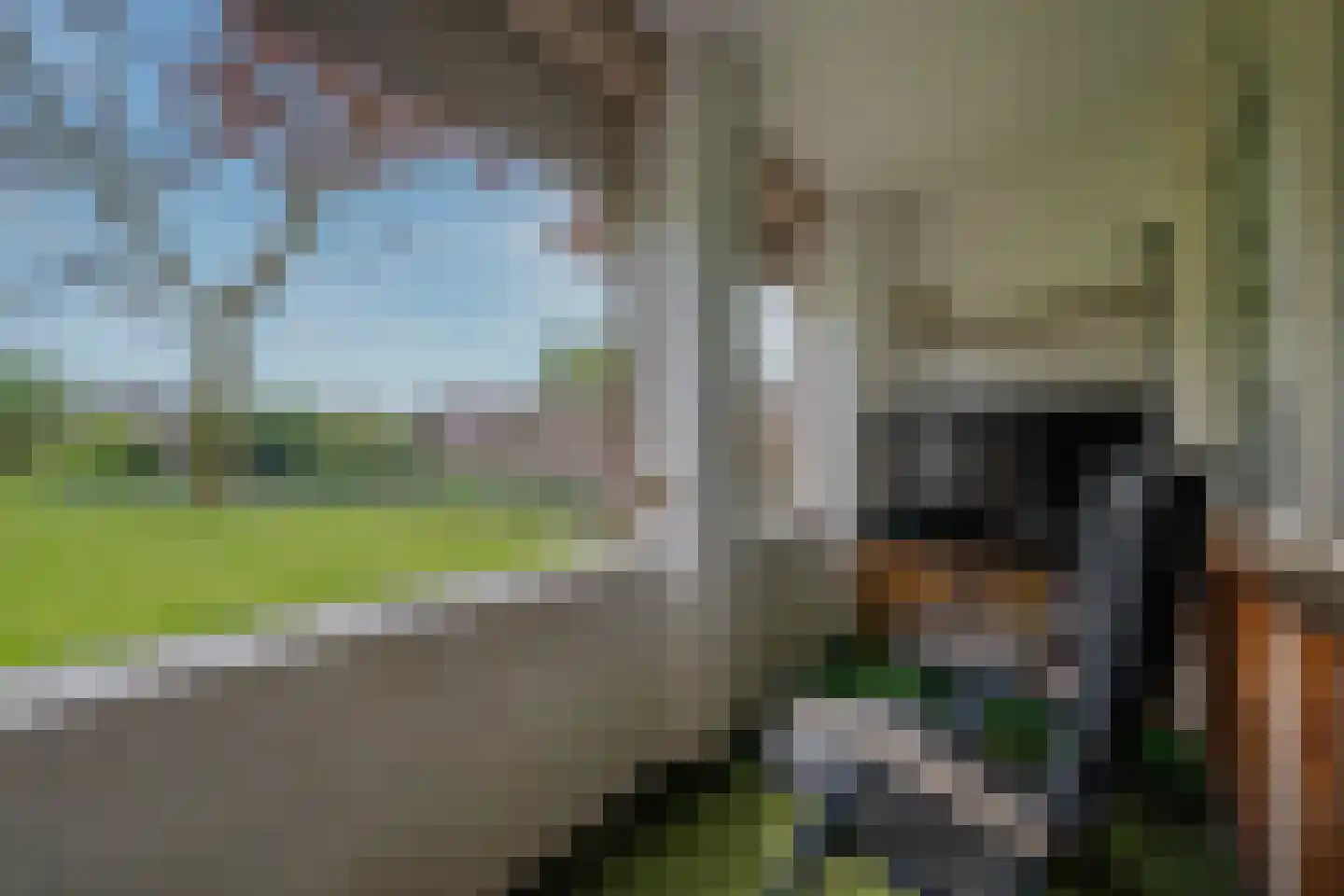 Gender 18 Deurne thumbnail 24