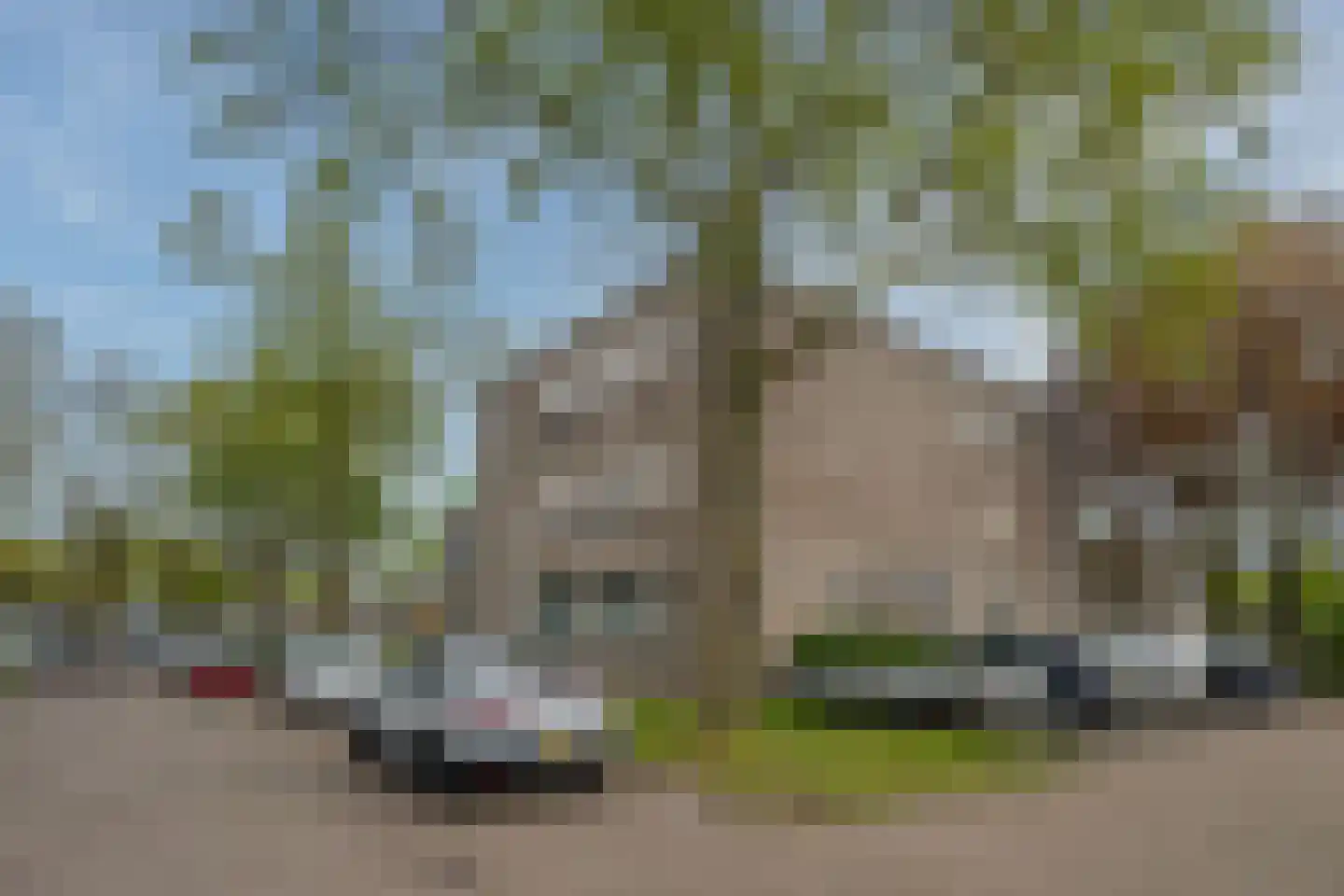 Gender 18 Deurne thumbnail 29