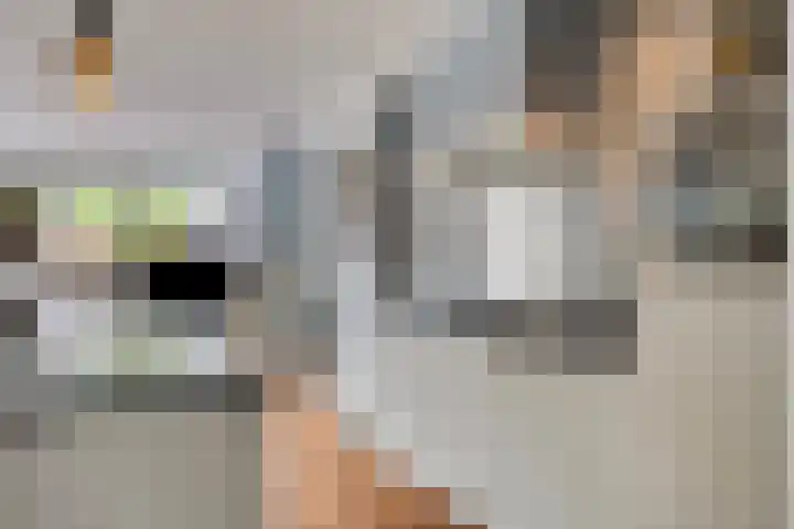 Gender 2 A Oisterwijk thumbnail 10