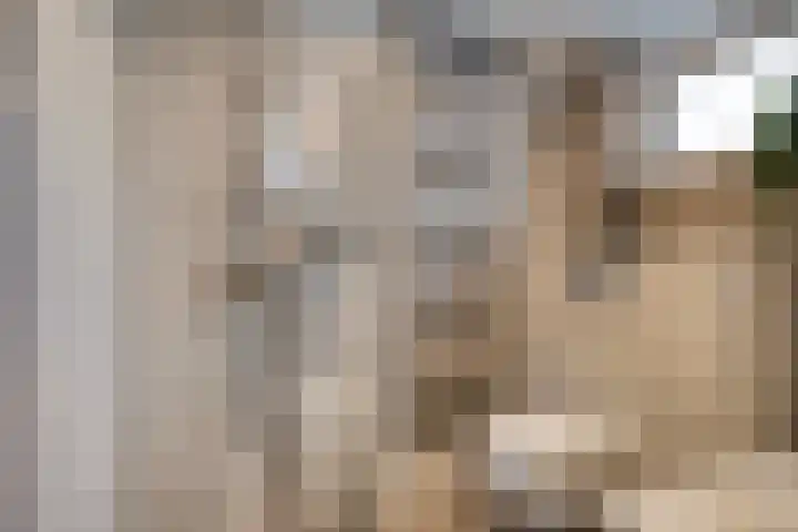 Gender 2 A Oisterwijk thumbnail 26