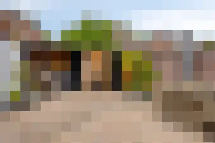 Gender 2 A Oisterwijk thumbnail 32