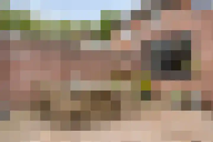 Gender 2 A Oisterwijk thumbnail 34