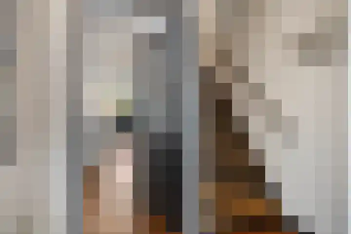 Gender 2 A Oisterwijk thumbnail 5