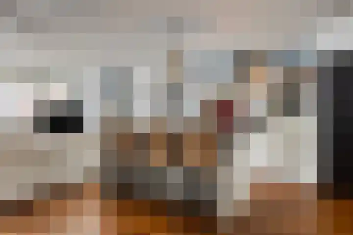Gender 2 A Oisterwijk thumbnail 9