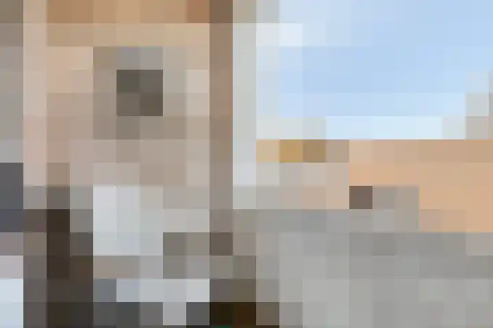 Gender 23 Deurne thumbnail 11