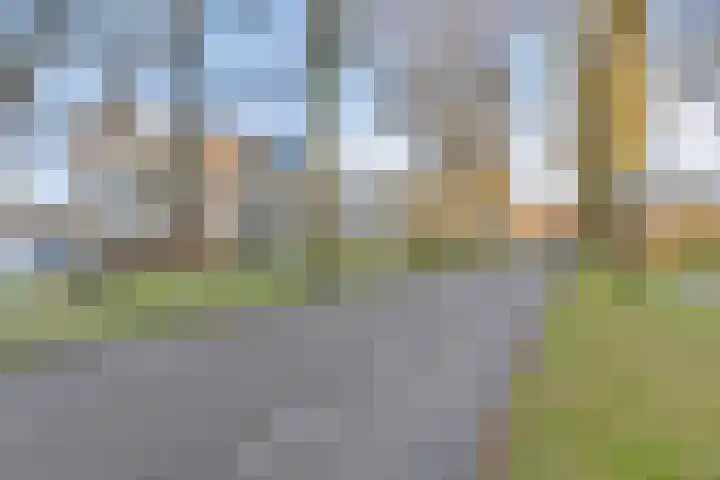 Gender 23 Deurne thumbnail 22