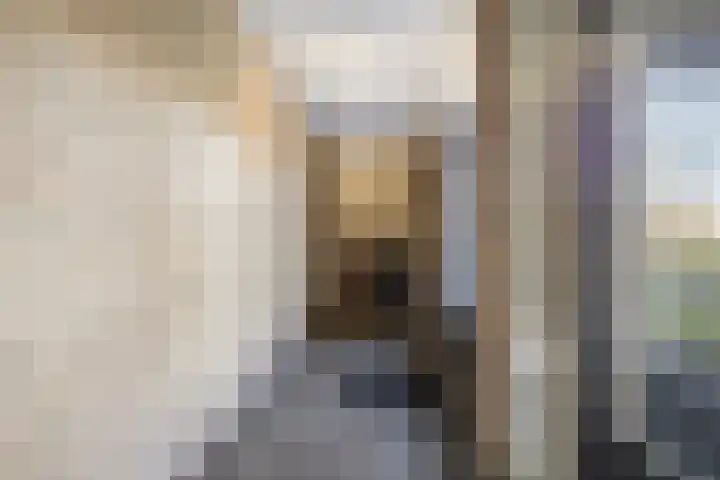 Gender 23 Deurne thumbnail 4
