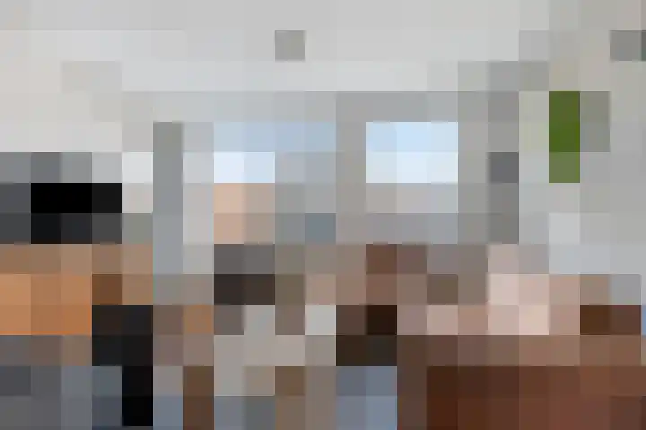 Gender 23 Deurne thumbnail 9