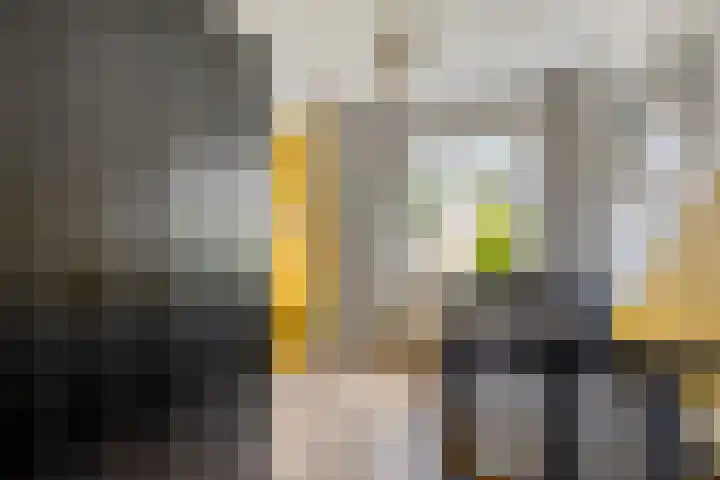 Gender 48 Oisterwijk thumbnail 18