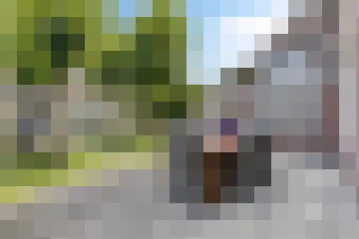 Gender 48 Oisterwijk thumbnail 26