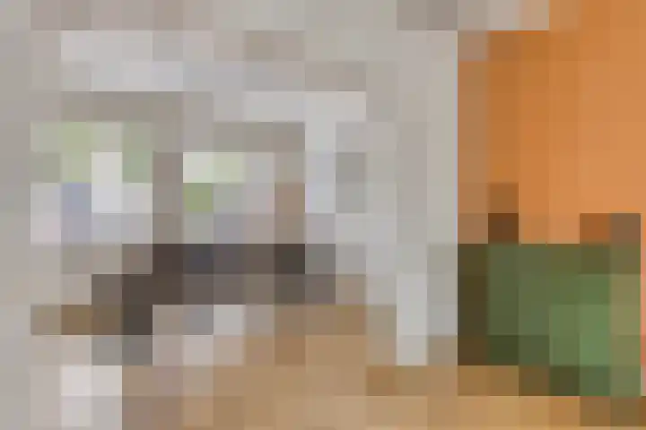 Gender 48 Oisterwijk thumbnail 8