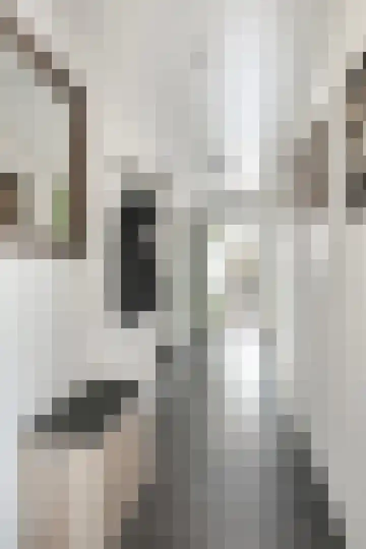 Gender 60 Deurne thumbnail 12