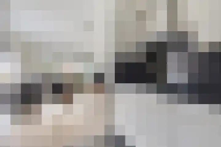 Gender 60 Deurne thumbnail 19