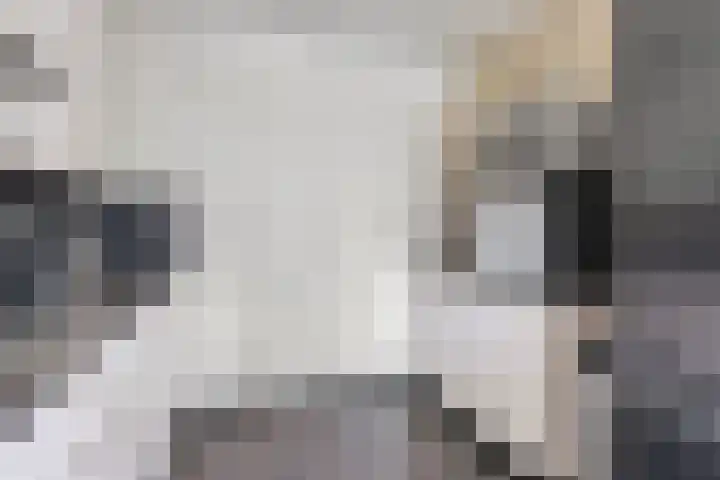 Gender 60 Deurne thumbnail 20
