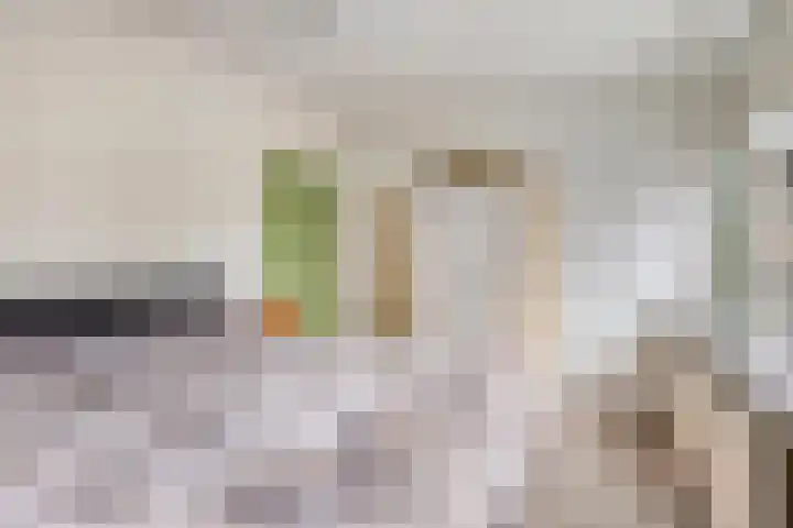 Gender 60 Deurne thumbnail 24