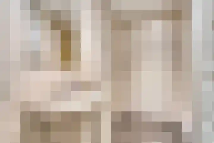 Gender 60 Deurne thumbnail 28