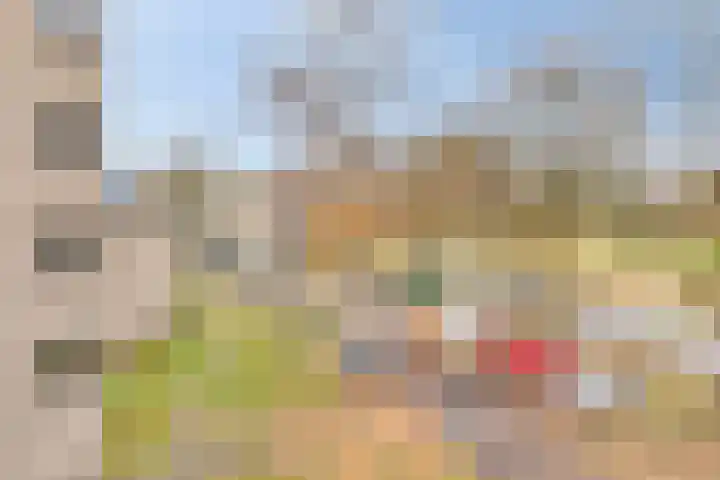 Gender 60 Deurne thumbnail 31