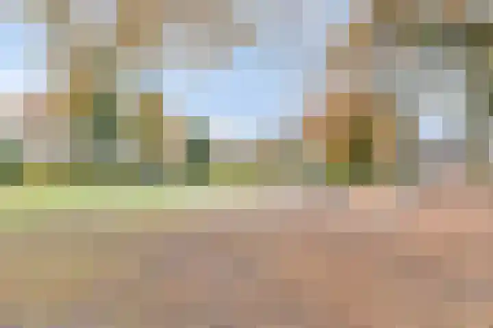 Gender 60 Deurne thumbnail 32