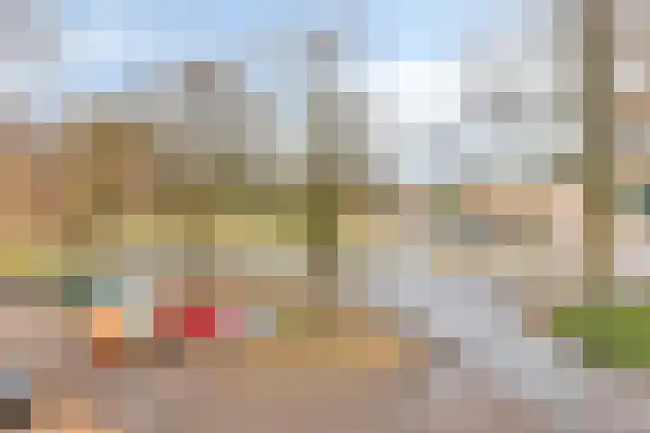 Gender 60 Deurne thumbnail 33