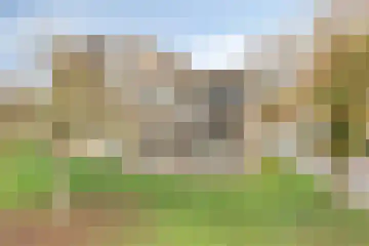Gender 60 Deurne thumbnail 35