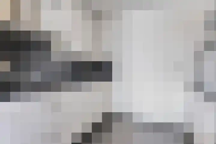Gender 60 Deurne thumbnail 4