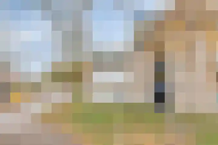 Gender 60 Deurne thumbnail 7