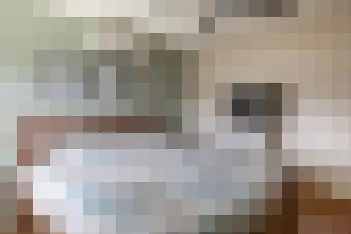 Genderdreef 14 Steensel thumbnail 19