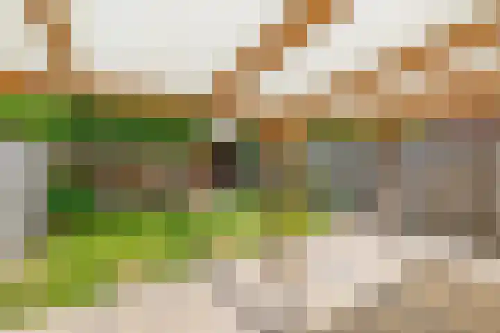Genderdreef 14 Steensel thumbnail 29
