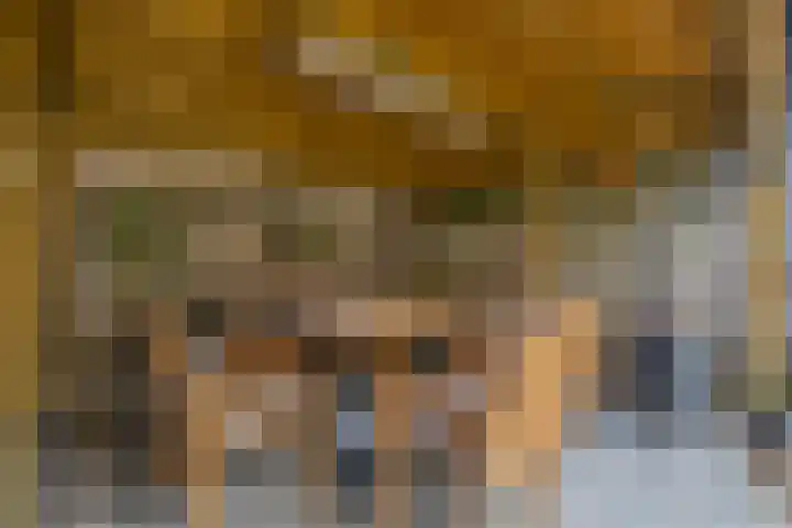 Genderdreef 14 Steensel thumbnail 31