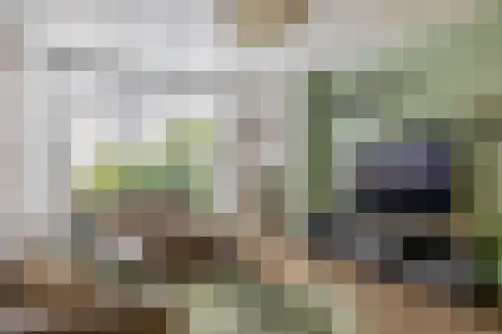 Genderdreef 14 Steensel thumbnail 8