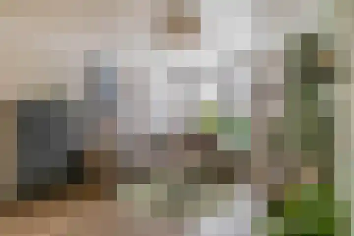 Genderdreef 14 Steensel thumbnail 9