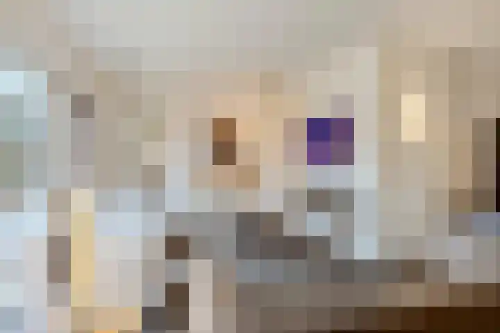 Genderlaan 4 Goirle thumbnail 11