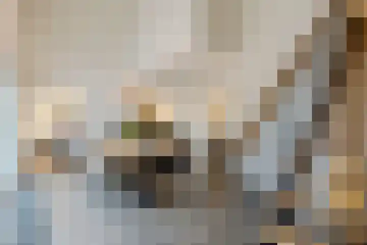 Genderlaan 4 Goirle thumbnail 15