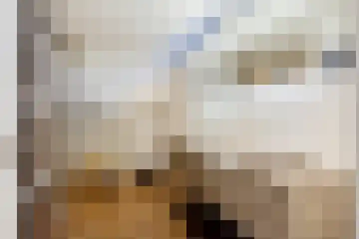 Genderlaan 4 Goirle thumbnail 24