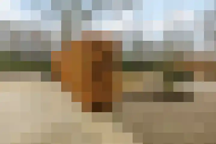 Genderlaan 4 Goirle thumbnail 42