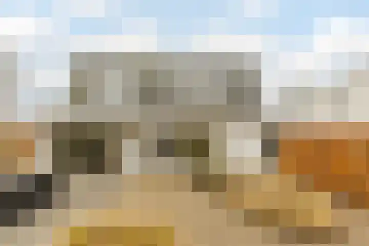 Genderlaan 4 Goirle thumbnail 43