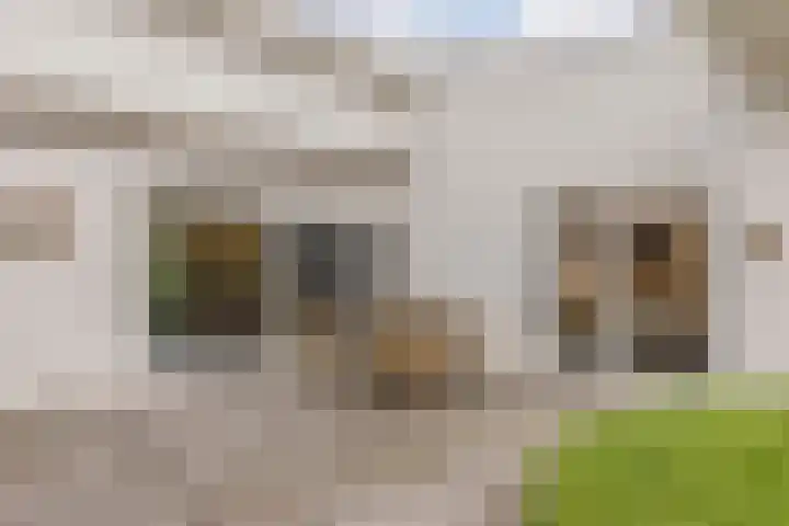 Genderlaan 4 Goirle thumbnail 47